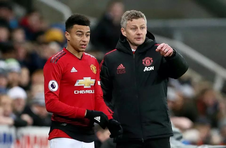 在体育竞技 在体育竞技