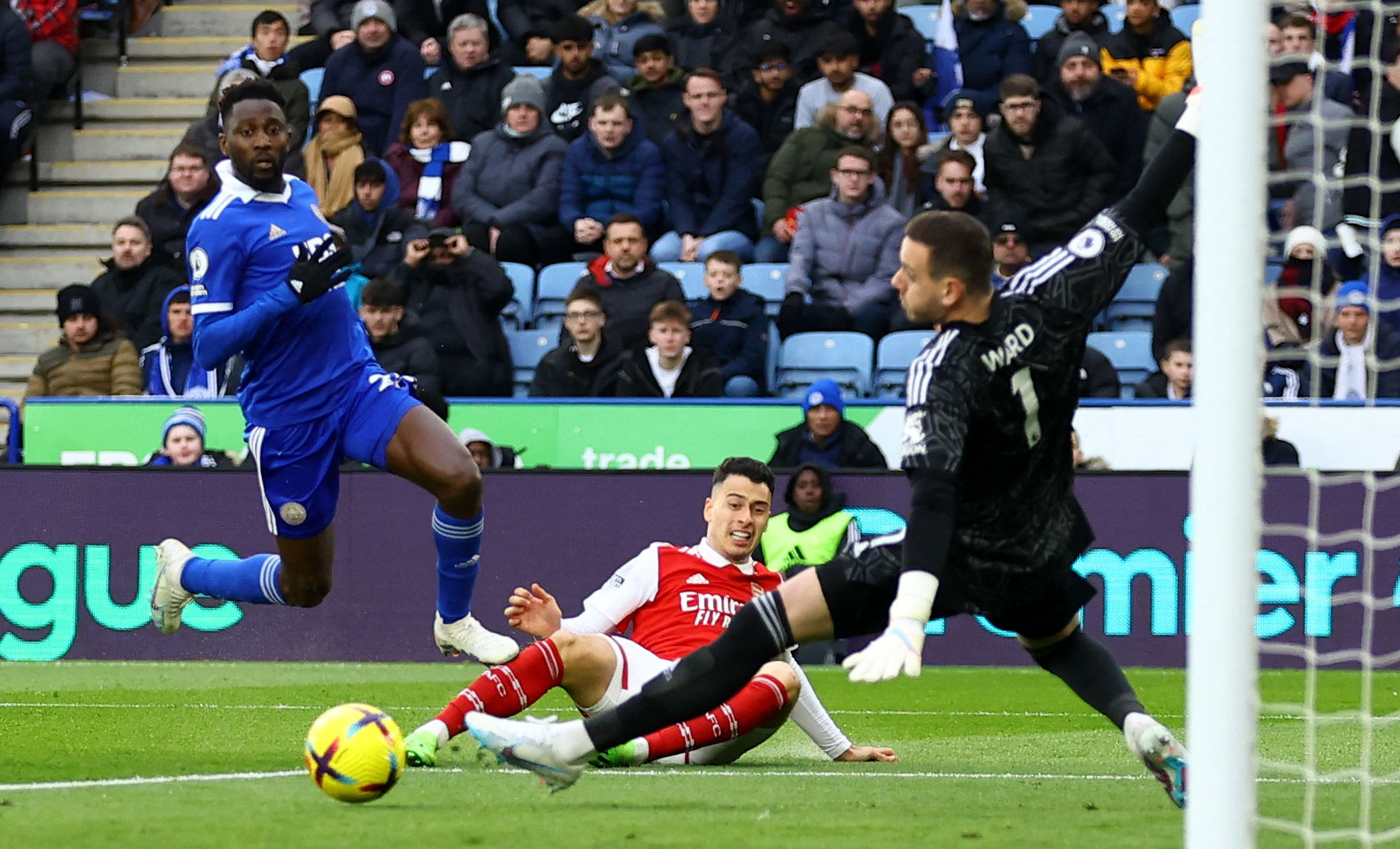 球迷们可以 球迷们可以